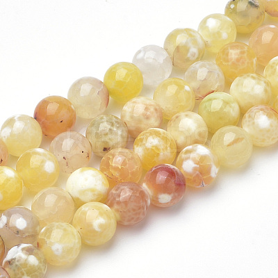 Dyed Natural Fire Crackle Agate Beads Strands X-G-Q462-127D-8mm-1