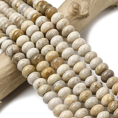 Natural Fossil Coral Beads Strands G-A280-A08-02-1