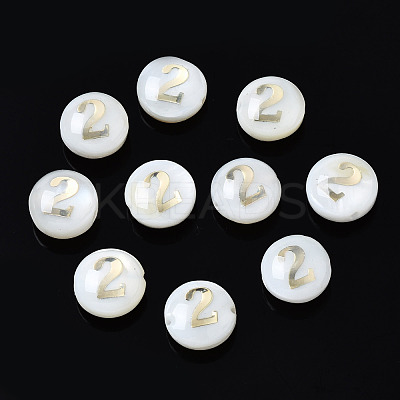 Natural Freshwater Shell Beads SHEL-N003-20-02-1