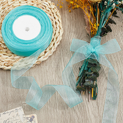 1 Rolls Sheer Organza Ribbon SRIB-CY0001-22A-06-1