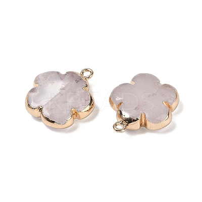 Natural Quartz Crystal Pendants G-P566-01G-06-1
