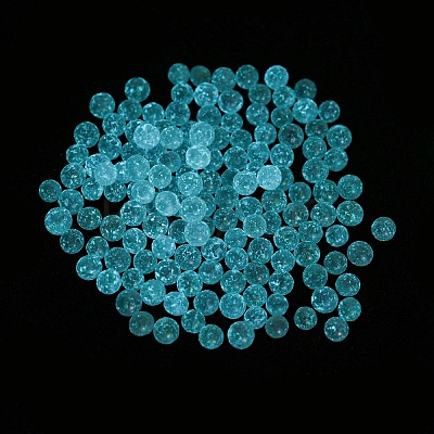 Luminous Glow in the Dark Transparent Glass Round Beads GLAA-F124-B07-1