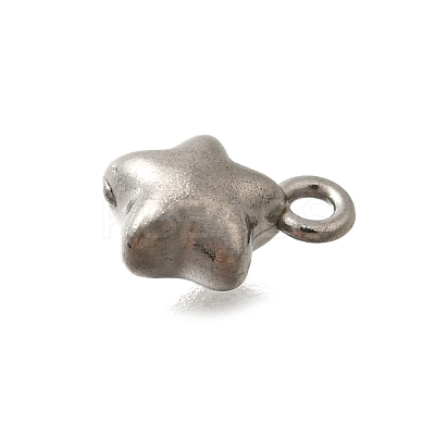 304 Stainless Steel Charms STAS-D310-06P-05-1