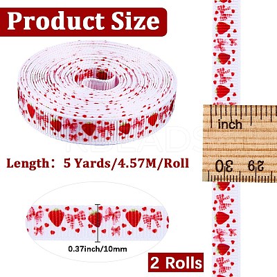 Polyester Ribbon OCOR-WH20061-002-1