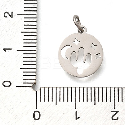 304 Stainless Steel Charms STAS-Z119-07P-1