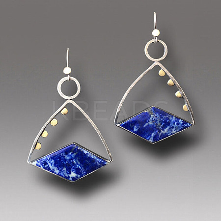 Alloy Enamel Dangle Earrings FS-WG6E131-17-1