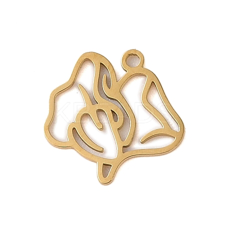 304 Stainless Steel Pendants STAS-S139-06G-08-1