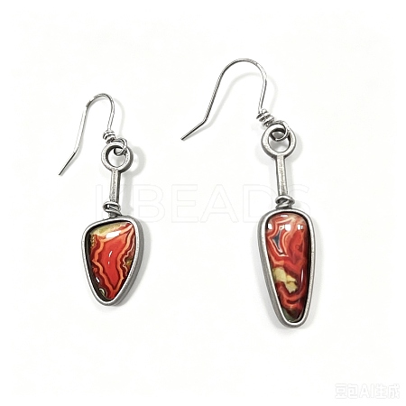 Alloy Enamel Dangle Earrings FS-WG6E131-04-1