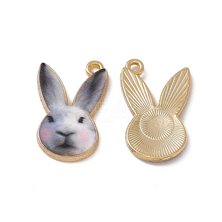 Rack Plating Alloy Enamel Pendants LS-ENAM-K050-04A-1