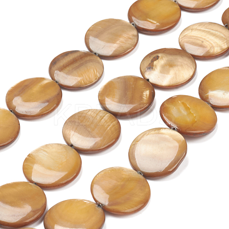 Natural Freshwater Shell Beads X-BSHE-I011-01A-01-1