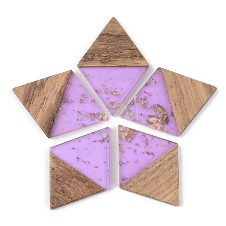 Transparent Resin & Walnut Wood Pendants RESI-S389-012A-B01-1