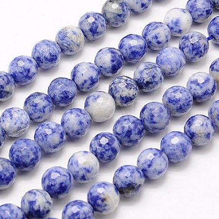 Natural Blue Spot Jasper Beads Strands G-G542-6mm-01-1