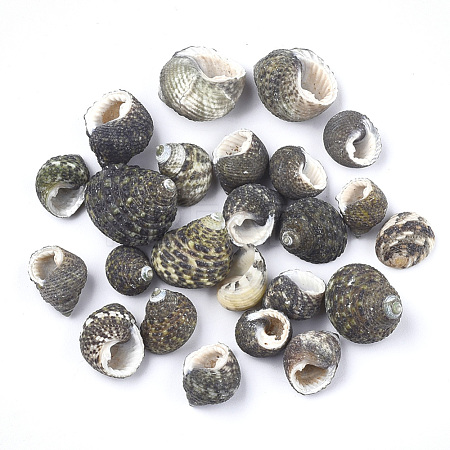 Wholesale Conch Shell Beads - KBeads.com