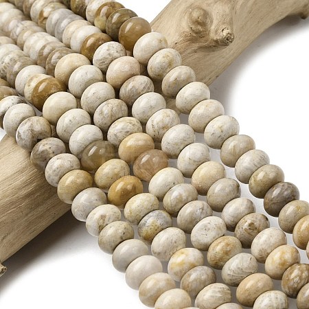 Natural Fossil Coral Beads Strands G-A280-A08-02-1