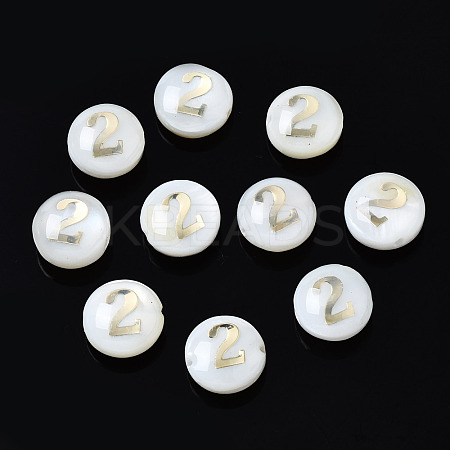 Natural Freshwater Shell Beads SHEL-N003-20-02-1