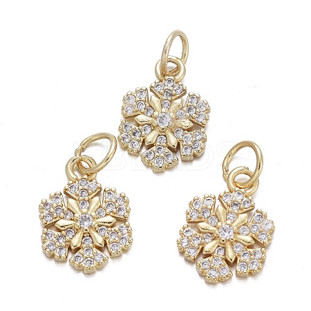 Brass Micro Pave Cubic Zirconia Charms LS-KK-K244-07G-1
