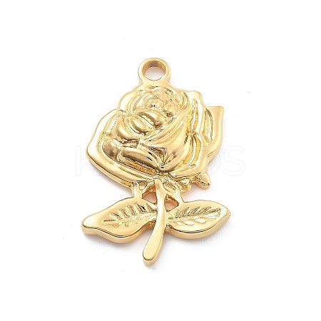 304 Stainless Steel Pendants STAS-R155-044G-1