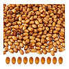 500Pcs Natural Wood Beads WOOD-DC0001-15-8