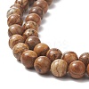 Natural Picture Jasper Round Bead Strands G-G-P070-55-8mm-5