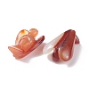 Natural Red Agate Home Display Decorations DJEW-L009A-03-8