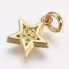 Brass Micro Pave Cubic Zirconia Charms X-ZIRC-G087-35G-2