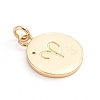 Brass Micro Pave Cubic Zirconia Pendants ZIRC-E164-34G-G-2