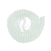 Baking Paint Transparent Glass Bead Strands GLAA-S031-12mm-29-4