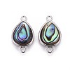 Natural Abalone Shell/Paua ShellShell Links Connectors BSHE-F011-10P-1