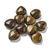 Natural Tiger Iron Beads G-P531-A25-01-1