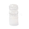 Natural Selenite Figurines DJEW-Q006-01L-1