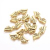Tibetan Style Alloy Beads LS-TIBEB-4993-AG-NR-2