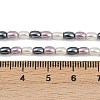 Electroplated Shell Pearl Beads Strands BSHE-H113-06B-04-4