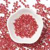 Glass Seed Beads SEED-H002-A-A618-2