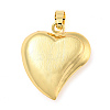 Rack Plating Brass Pendants KK-C044-08G-1