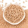 Baking Paint Glass Seed Beads SEED-L011-09A-15-2