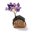 Resin & Natural Amethyst Model Ornament DJEW-Z001-01F-4