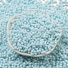 Macaron Color Opaque Frosted Glass Seed Beads X1-SEED-K009-12B-11-2