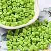Baking Paint Glass Bead SEED-H002-K-D302-1