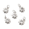 Brass Micro Pave Cubic Zirconia Charms KK-E068-VB237-2