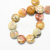 Flat Round Natural Crazy Lace Agate Beads Strands G-S110-14mm-05-2