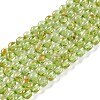 Natural Peridot Beads Strands G-K313-B01-02-1