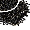 Picasso Spray Painted Glass Seed Beads SEED-T006-04-40-3