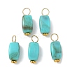 Opaque Acrylic Pendants PALLOY-JF04023-S-1