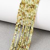 Natural Green Garnet Beads Strands G-A235-A02-02A-2