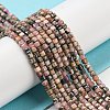 Natural Rhodonite Beads Strands X-G-Q1005-F-01-4