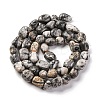 Natural Map Stone Beads Strands G-G146-A11-01-3