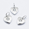 Brass Micro Pave Cubic Zirconia Charms LS-RB-I078-67P-NR-1