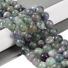 Natural Fluorite Beads Strands G-P530-B04-05-2
