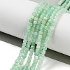 Natural Chrysoprase Beads Stands G-H042-B30-01-2