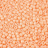 Opaque Baking Paint Glass Seed Beads SEED-T008-02D-3